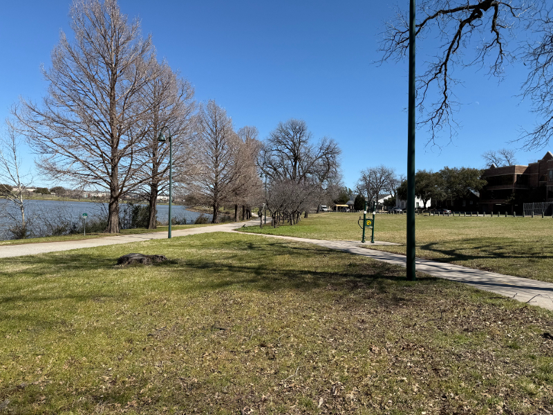 Texas native trees, Bachman Lake Park, Dallas Love Field