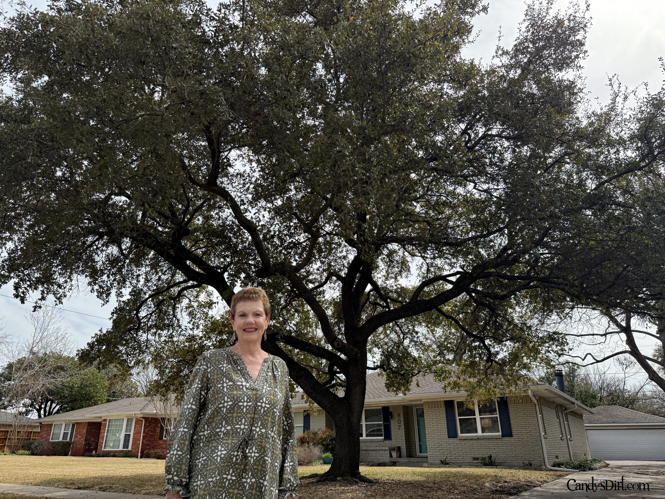 Arapaho Heights, Heights Park, Richardson
