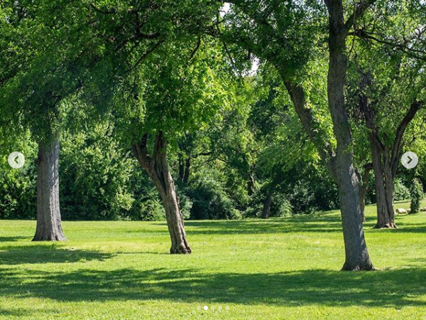 Dallas Parks