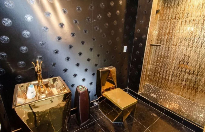 patterns, Michigan, gold toilets