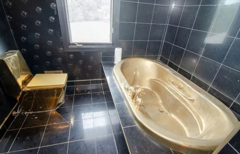 patterns, Michigan, gold toilets