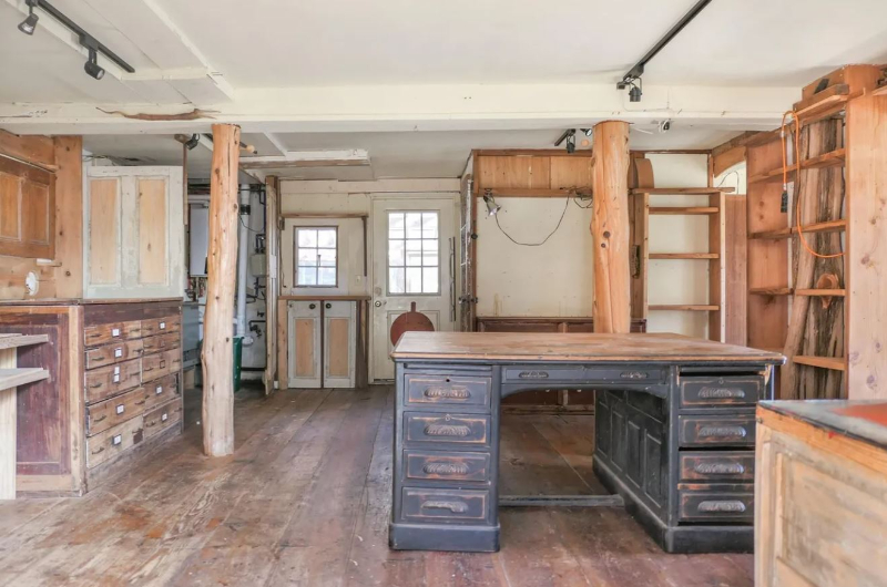 swamp monster, New York, rustic