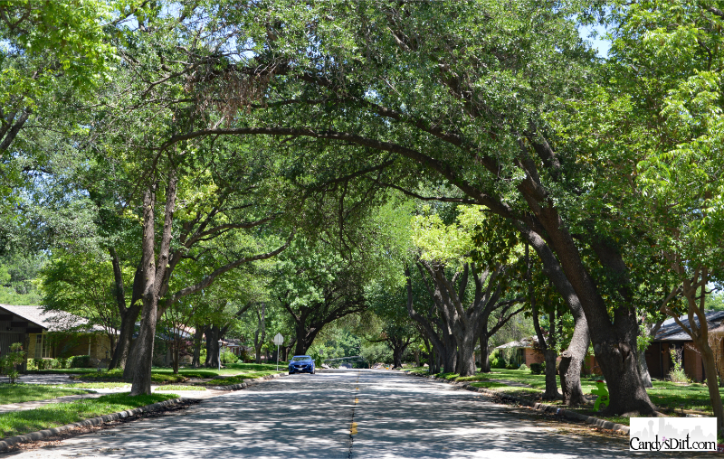 Merriman Park/University Manor, oasis, neighborhoods