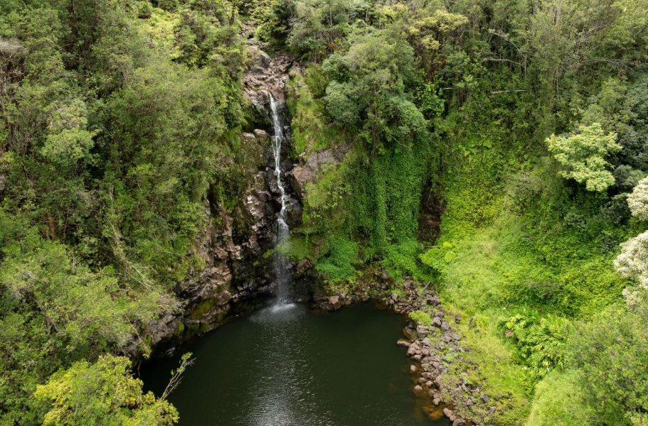 A Hawai'i Ranch Home That's Fit for King Kamehameha and MY Ice Cream ...