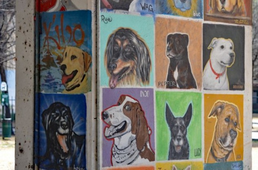 Dog parks: what buyers want in 2025
