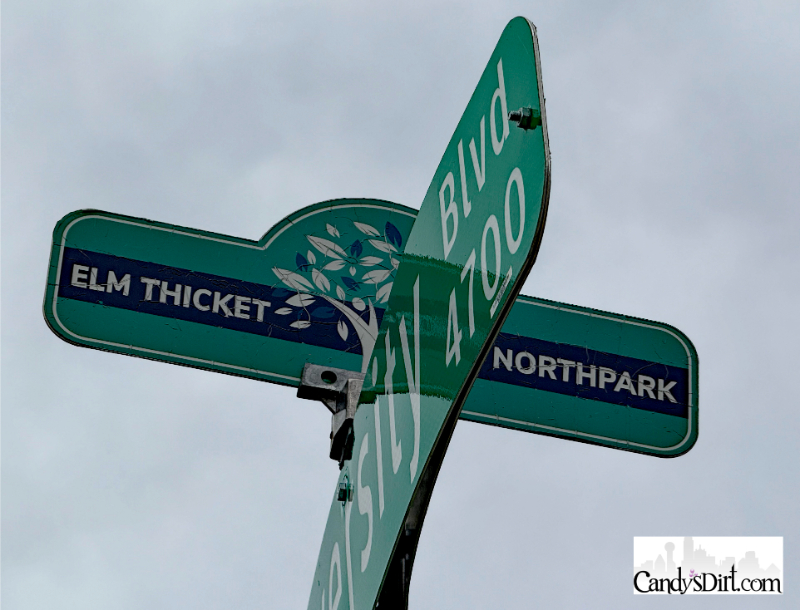 Elm Thicket, Juneteenth, Dallas Neighborhoods