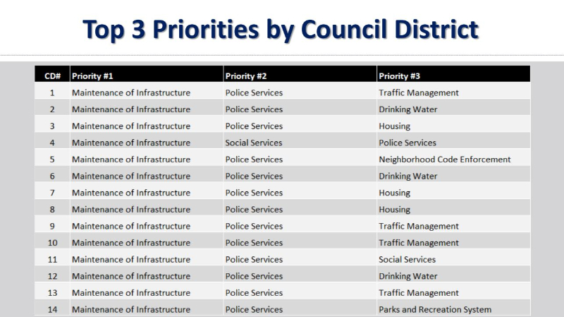 2025 Community Survey, Dallas, City Council