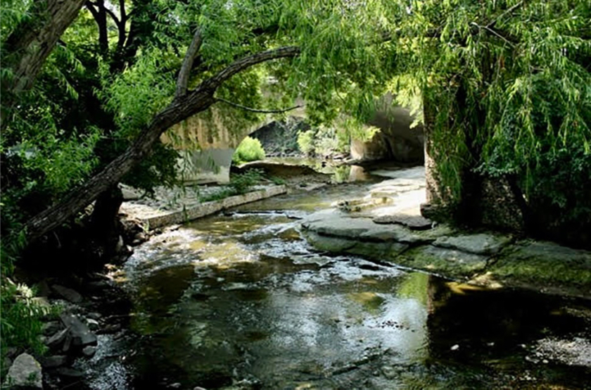 The Bridges of Turtle Creek