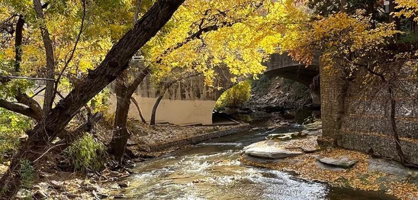The Bridges of Turtle Creek