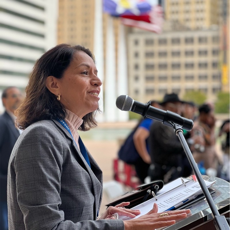 Liz Cedillo-Pereira