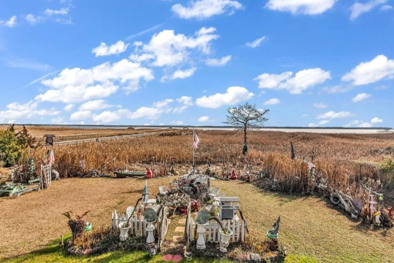 holy crap, South Carolina, hoarder