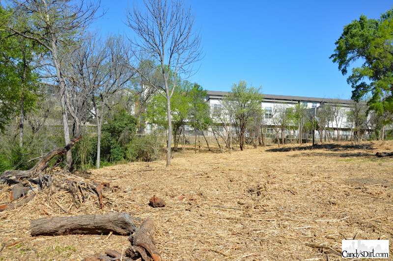 vision, Bachman Lake Park, Greenbelt