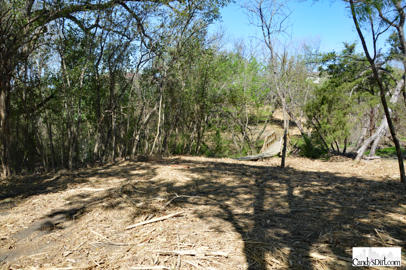 vision, Bachman Lake Park, Greenbelt