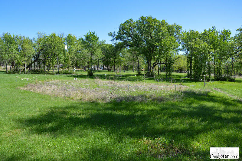 vision, Bachman Lake Park, Greenbelt