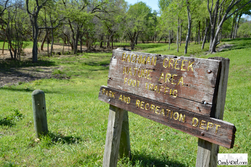 vision, Bachman Lake Park, Greenbelt
