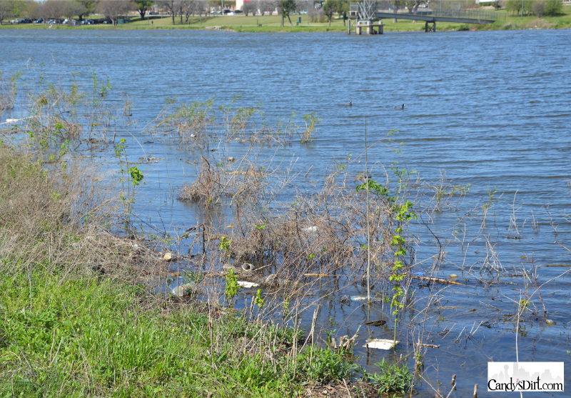 vision, Bachman Lake Park, Greenbelt