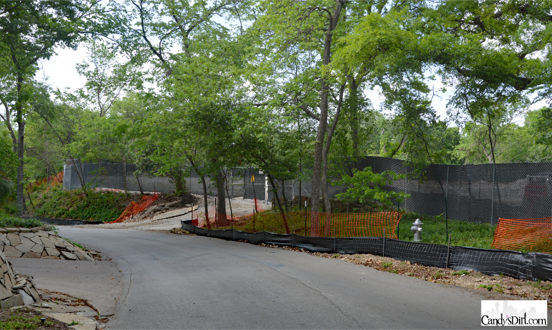 bluffview, nature, Dallas