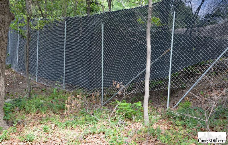 bluffview, nature, Dallas