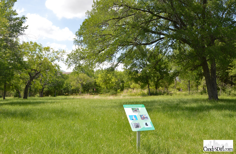 dam,  Bachman Lake Park, spillway