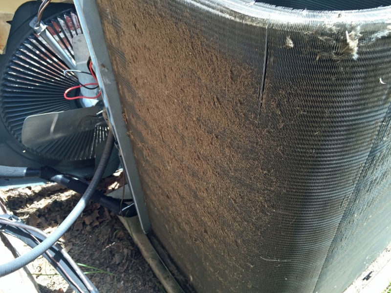 Summer Home Maintenance