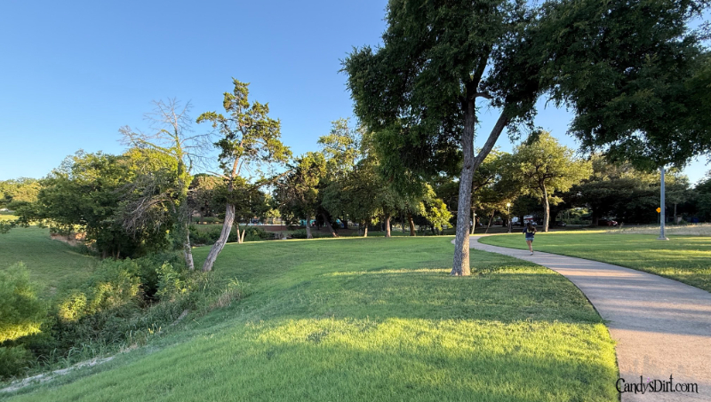 rooted oak cliff, martin weiss park