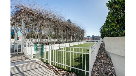 2200 Victory 1101 dog area