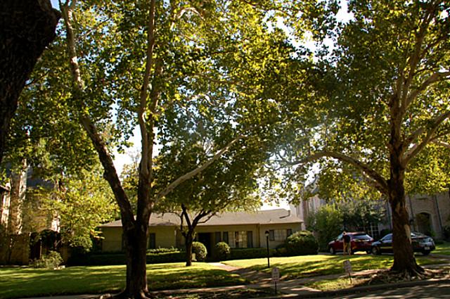 3909 Marquette ext ranch
