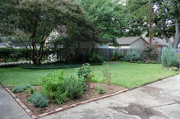 5625 McCommas Backyard