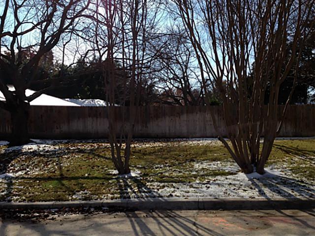 607 Bush Allen yard