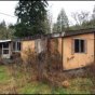 Country Cabin