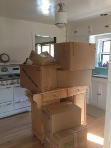 Georgia Boxes