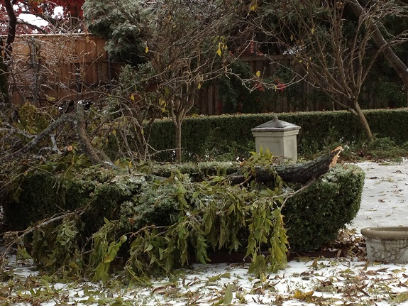 Icemageddon 2013 branches