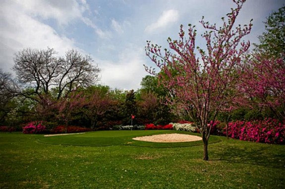 Mt Vernon putting