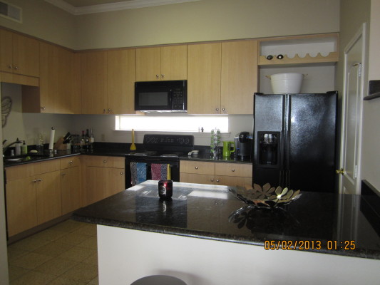 Penthouse Kitchen