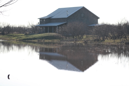 Whitetail Creek Lodge