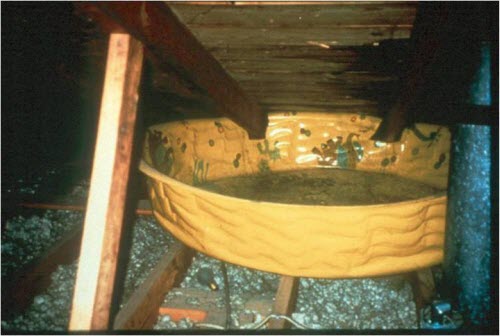 arlington swim pool in attic