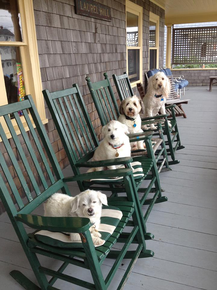 dogs on porch 7.2013