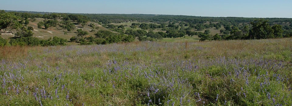 homesite_52_3-960x350